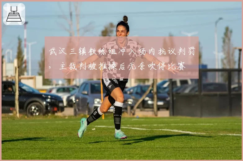 武汉三镇教练组冲入场内抗议判罚,主裁判被推搡后无奈吹停比赛