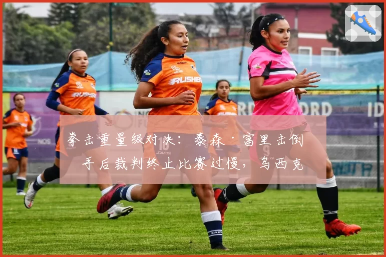 拳击重量级对决:泰森·富里击倒对手后裁判终止比赛过慢,乌西克团队抗议